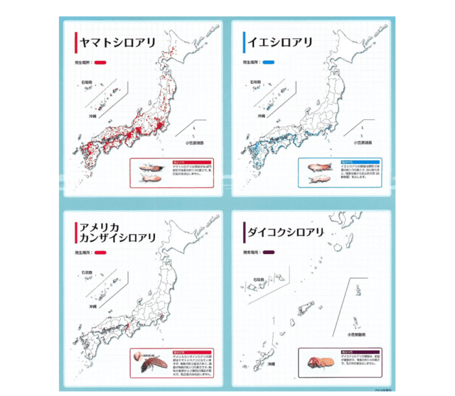 シロアリ発生しやすい地域