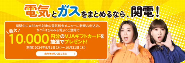 選ぶなら、電気もガスも関西電力！【電気キャンペーン】