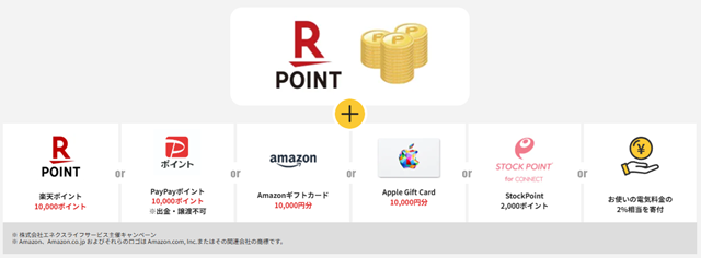 TERASELでんき 通常特典