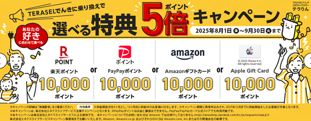 TERASELでんき 選べる特典5倍キャンペーン