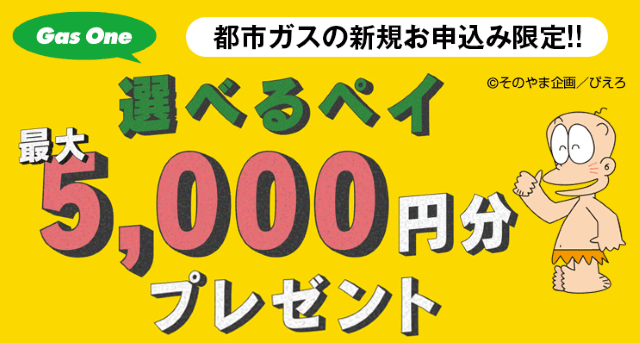ガスワン 選べるペイ最大5,000円分プレゼントキャンペーン
