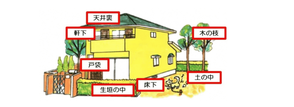 スズメバチはこんな所に巣を作ります