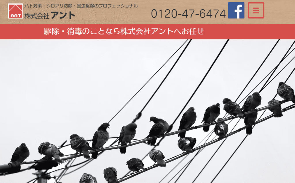 株式会社アント