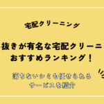 染み抜きが有名な宅配クリーニングおすすめランキング8選！落ちないシミも任せられるサービスを紹介