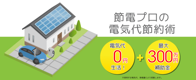 節電プロ 低コスト